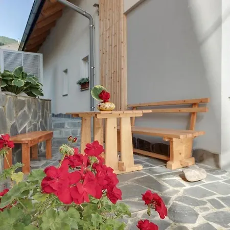 Julian Experience Ratece