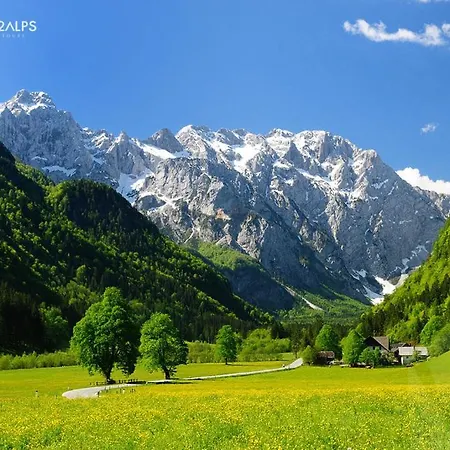 Appartement Julian Experience