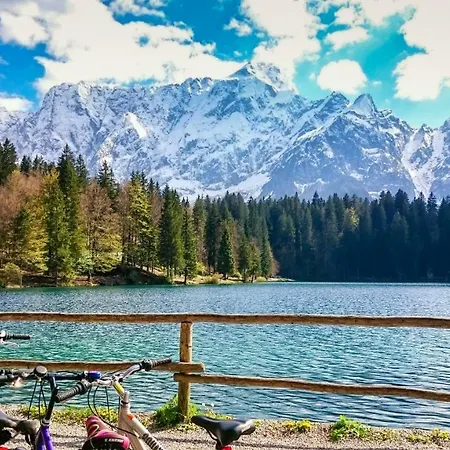 Julian Experience * Rateče