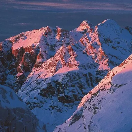 Julian Experience Appartement *