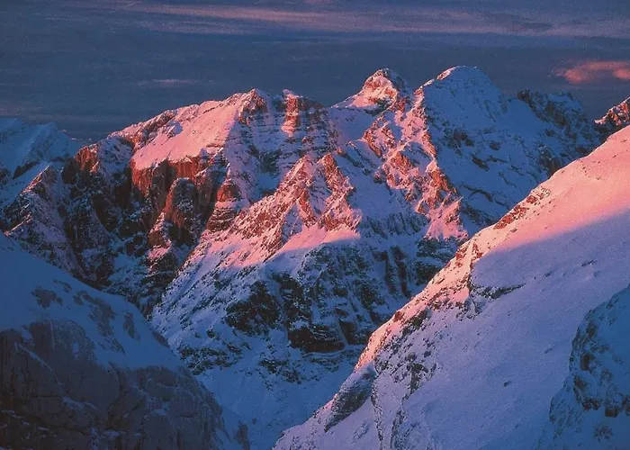 Julian Experience דירה *