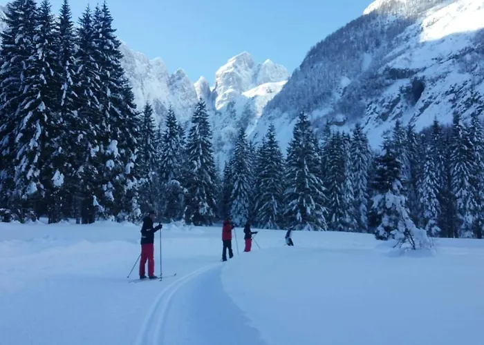 Julian Experience 아파트